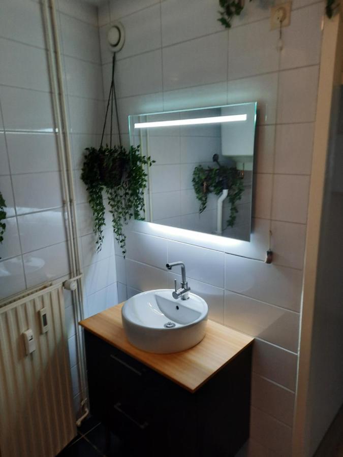 Apartment Duinvos 150M From The Beach Noordwijk Dış mekan fotoğraf